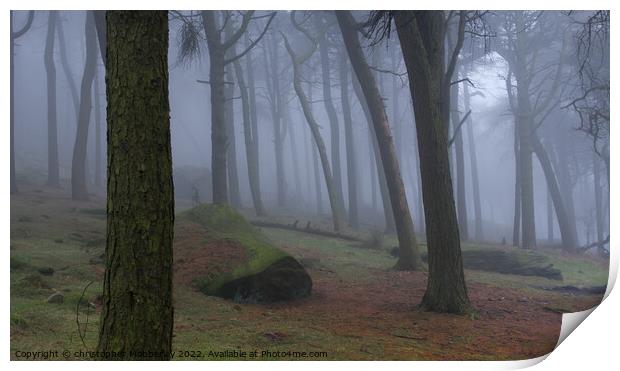 Misty woodland Buxton  Print by Chris Mobberley