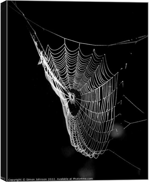 sunlit spiders web Canvas Print by Simon Johnson