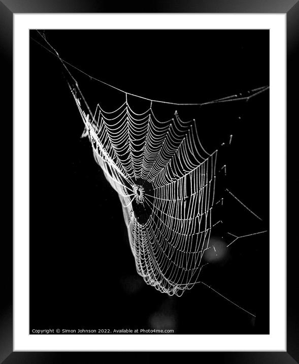 sunlit spiders web Framed Mounted Print by Simon Johnson