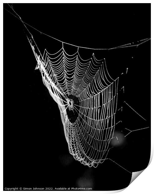 sunlit spiders web Print by Simon Johnson