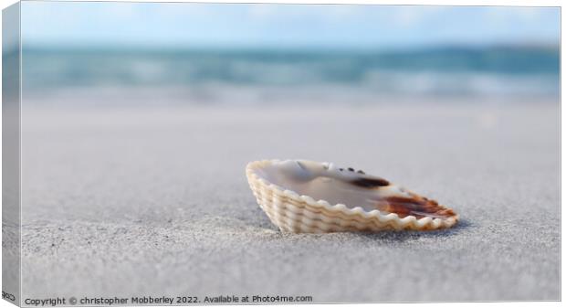 A Shell on Clachan Sands Canvas Print by Chris Mobberley