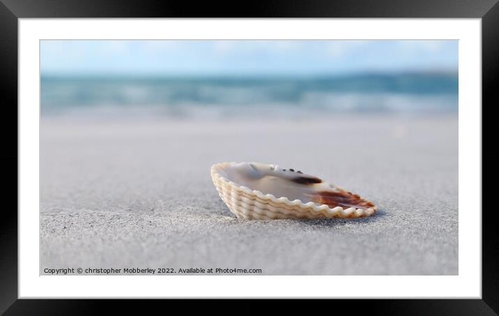 A Shell on Clachan Sands Framed Mounted Print by Chris Mobberley