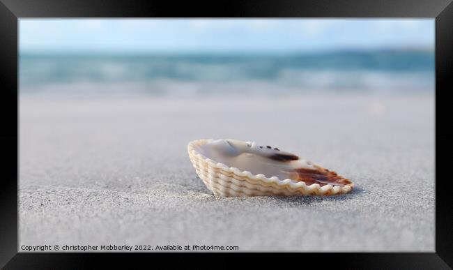 A Shell on Clachan Sands Framed Print by Chris Mobberley