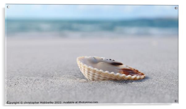 A Shell on Clachan Sands Acrylic by Chris Mobberley