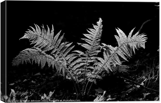 Sunlit fern  Canvas Print by Simon Johnson