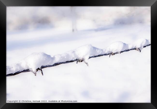 Snow Covered Barbed Wire Framed Print by Christine Kerioak
