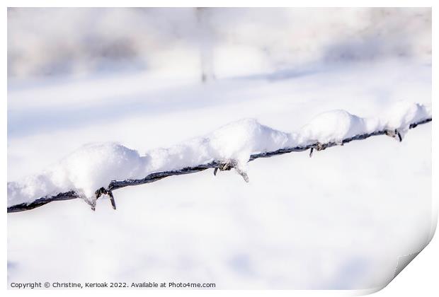 Snow Covered Barbed Wire Print by Christine Kerioak