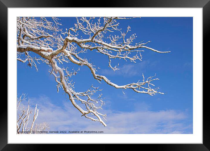 Snow Covered Branch Framed Mounted Print by Christine Kerioak