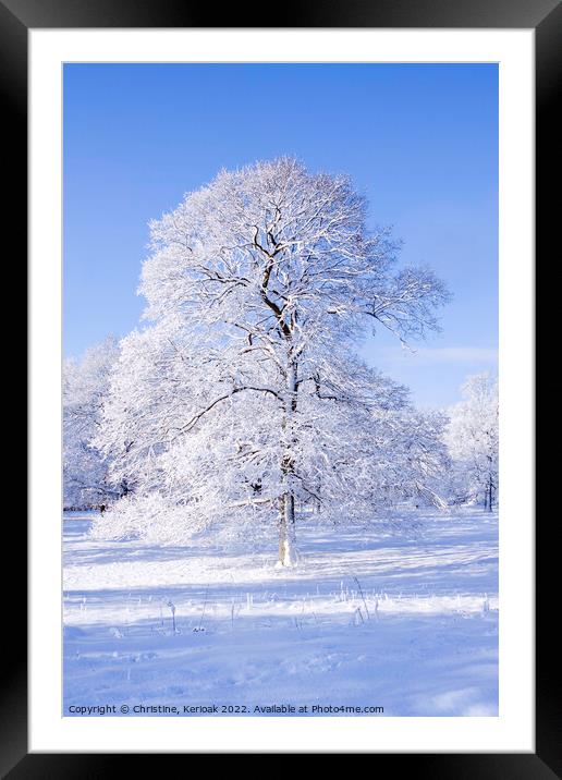The White Oak Tree Framed Mounted Print by Christine Kerioak