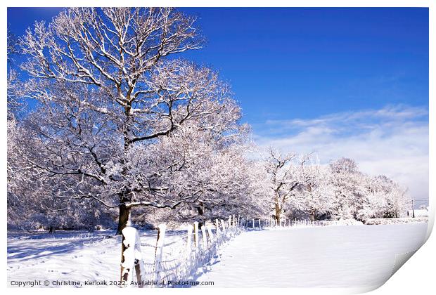 Dividing Fence in Snow Covered Fields Print by Christine Kerioak
