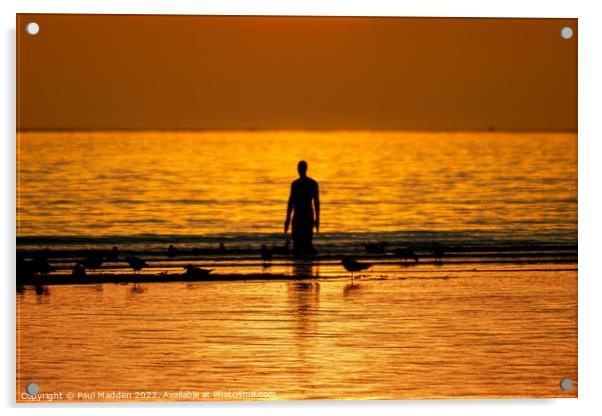 Crosby Beach at Sunset Acrylic by Paul Madden