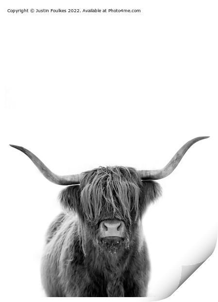 The Highland cow Print by Justin Foulkes
