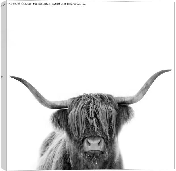 Highland cow in black and white Canvas Print by Justin Foulkes