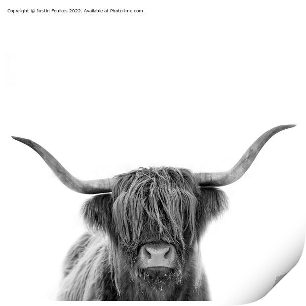 Highland cow in black and white Print by Justin Foulkes