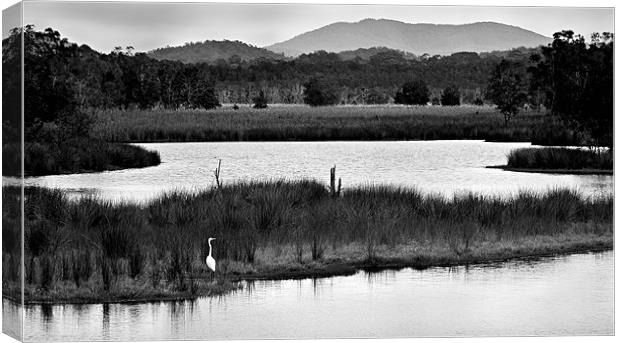 Backwater #7 Canvas Print by Dennis Gay