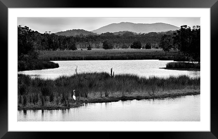 Backwater #7 Framed Mounted Print by Dennis Gay