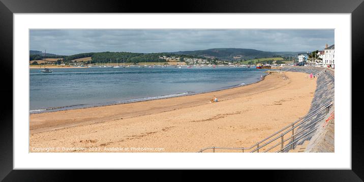 Exmouth Beach Framed Mounted Print by David Hare