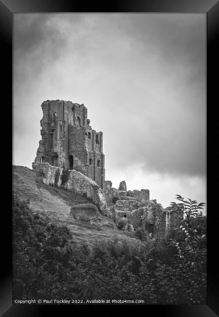 Corfe Castle Framed Print by Paul Tuckley