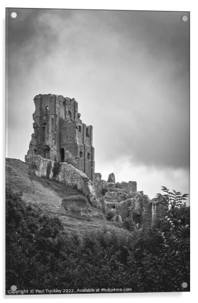 Corfe Castle Acrylic by Paul Tuckley