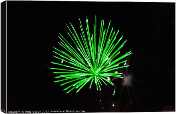 Fireworks at Night Canvas Print by Philip Gough