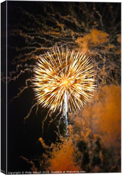 Fireworks at Night Canvas Print by Philip Gough