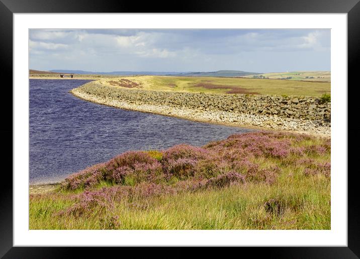 Purple heather at Whiteholme Resrvoir. Framed Mounted Print by David Birchall