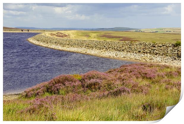 Purple heather at Whiteholme Resrvoir. Print by David Birchall