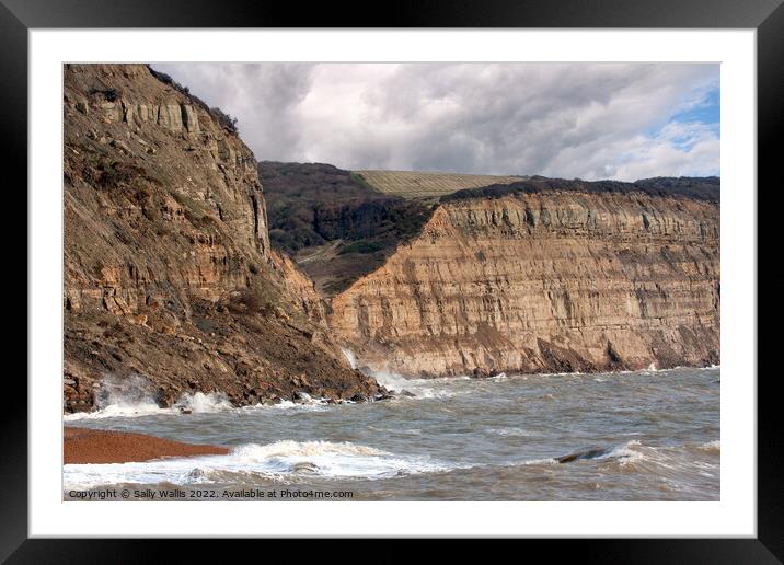 Recent rock fall east of Hastings, East Sussex Framed Mounted Print by Sally Wallis