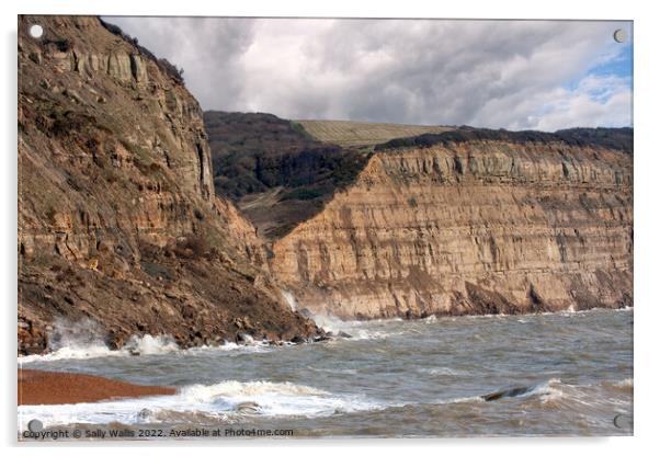 Recent rock fall east of Hastings, East Sussex Acrylic by Sally Wallis