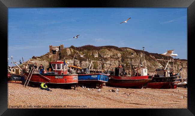 Fishing Boats on Hastings Beach, East Sussex Framed Print by Sally Wallis