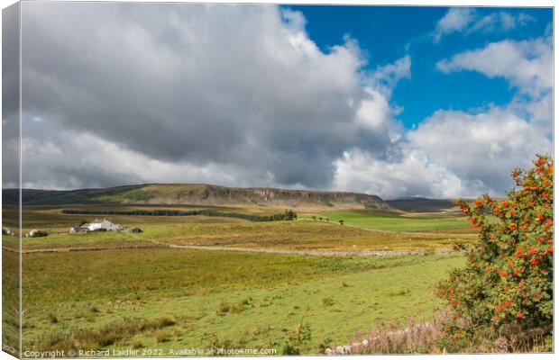 Birk Rigg and Cronkley Scar, Upper Teesdale Canvas Print by Richard Laidler