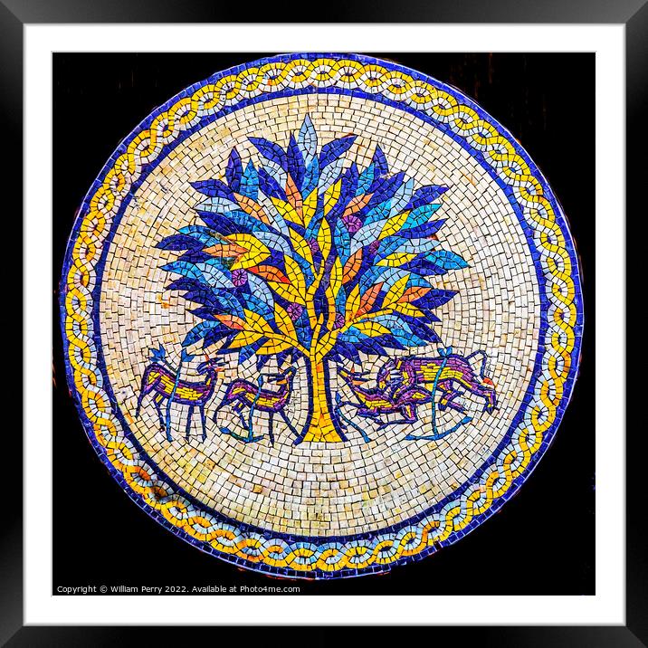 Tree of Life Mosaic Madaba Jordan Framed Mounted Print by William Perry