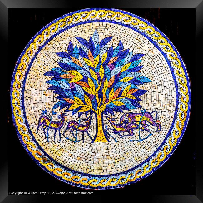 Tree of Life Mosaic Madaba Jordan Framed Print by William Perry