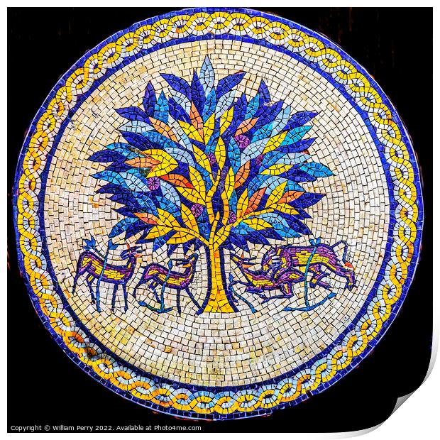 Tree of Life Mosaic Madaba Jordan Print by William Perry