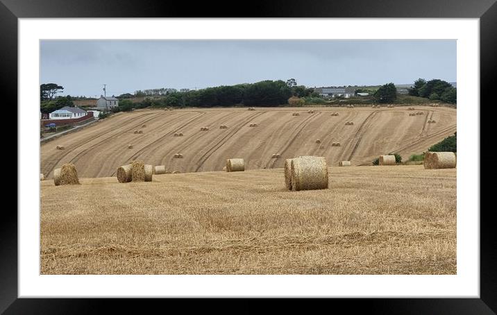 Harvest time  Framed Mounted Print by keith sutton