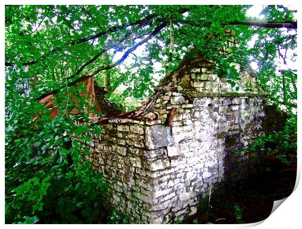Ruined cottage Print by Stephanie Moore