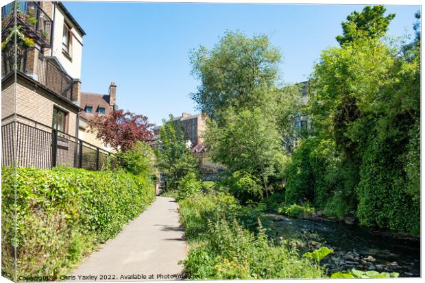 Footpath along the Water of Leith  Canvas Print by Chris Yaxley