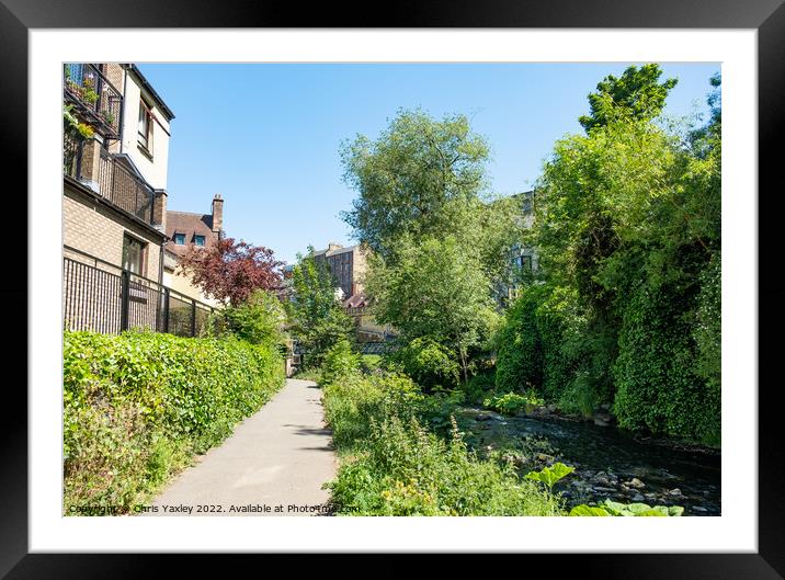 Footpath along the Water of Leith  Framed Mounted Print by Chris Yaxley
