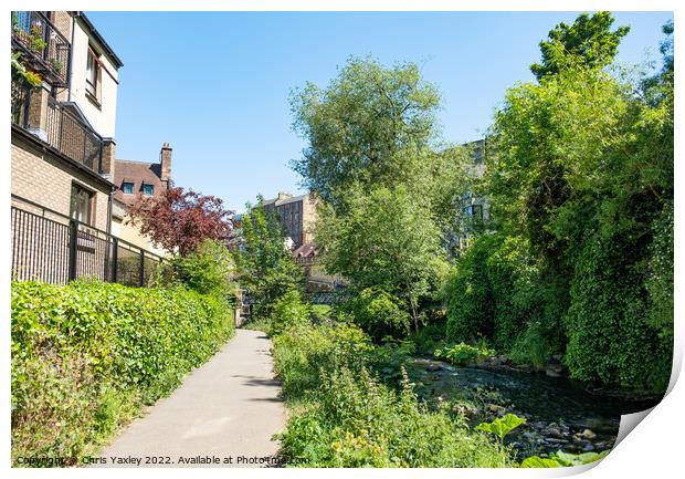 Footpath along the Water of Leith  Print by Chris Yaxley