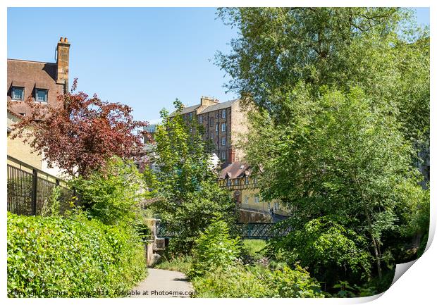  Footpath along the Water of Leith Print by Chris Yaxley