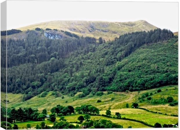 Mountain in Sligo Canvas Print by Stephanie Moore