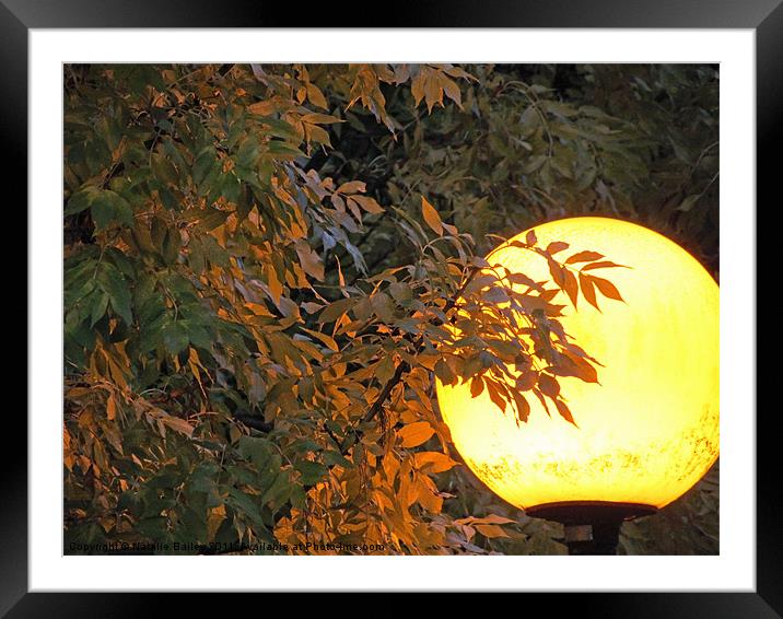 Leaves by Light Framed Mounted Print by Natalie Bailey