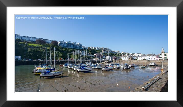 Ilfracombe Harbour (panoramic) Framed Mounted Print by Derek Daniel