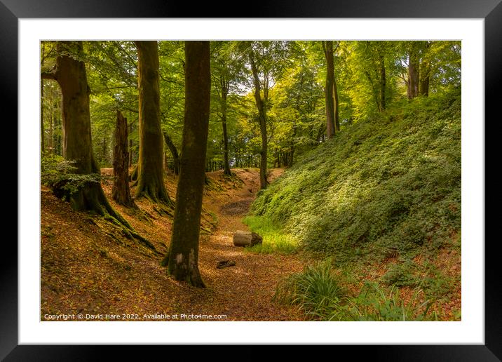 Woodbury Castle  Framed Mounted Print by David Hare