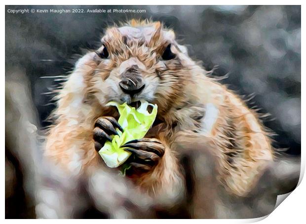 Black Tailed Prairie Dog (Digital Art) Print by Kevin Maughan