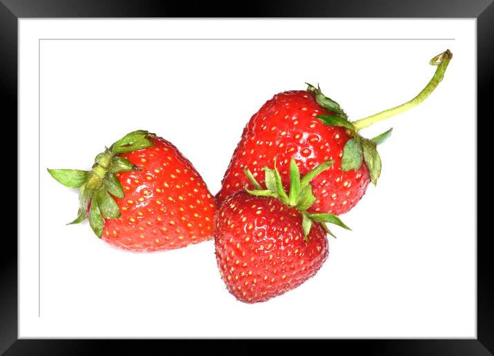 Juicy Strawberries Framed Mounted Print by Philip Gough