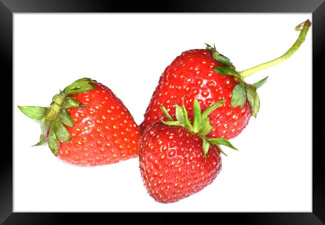 Juicy Strawberries Framed Print by Philip Gough