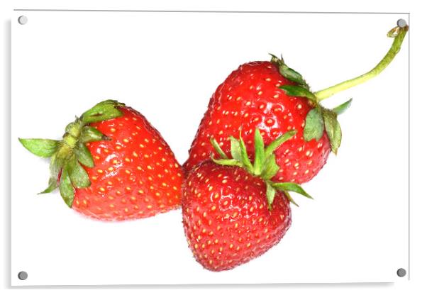 Juicy Strawberries Acrylic by Philip Gough