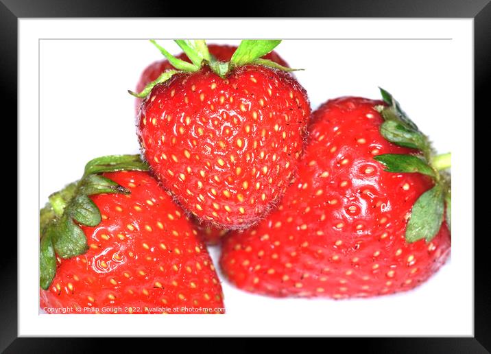Three Strawberries Framed Mounted Print by Philip Gough