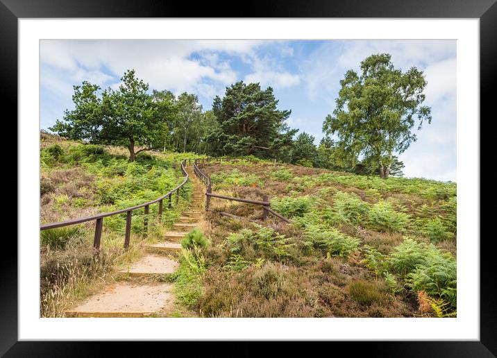 Steps from Dersingham Bog Framed Mounted Print by Jason Wells